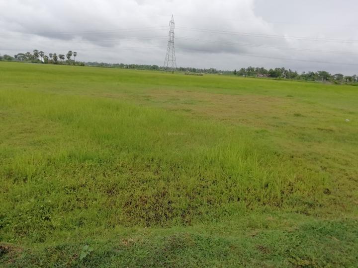 Bhangar Main Image 1