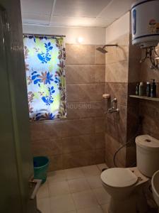 Bathroom Image of 1250 Sq.ft 3 BHK Apartment / Flat for rent in Amrapali Castle, Chi V Greater Noida for Rs. 33000