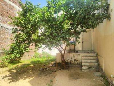 Block C Plot View 2