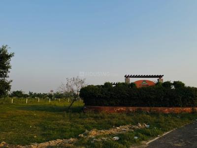 YEIDA Individual Residential Plots Plot View 2