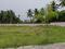 Tambaram Plot View 1