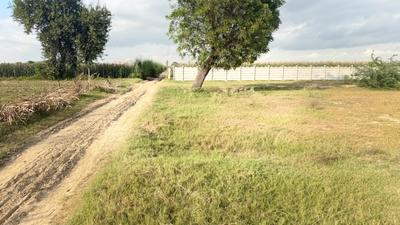 Image of 900 Sq.ft Residential Plot / Land for sale in Barsana, Mathura for Rs. 1000000