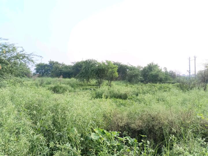 Rohini sector 34 pocket A2 Main Image 1