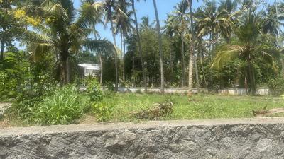 Image of 3920 Sq.ft Residential Plot / Land for sale in Aranattukara, Thrissur for Rs. 6480000