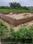 Bhaisora, Gomti Nagar Plot View 2