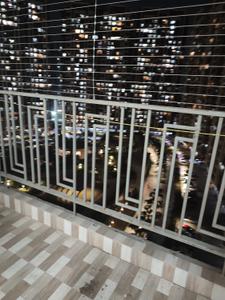 Balcony Image of 750 Sq.ft 1 BHK Apartment / Flat for sale in Regency Anantam, Dombivli East Thane for Rs. 5200000