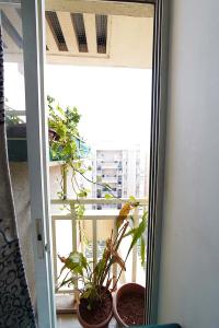 Balcony Image of 950 Sq.ft 2 BHK Apartment / Flat for sale in Atria Grande, Handewadi Pune for Rs. 5500000