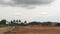 Ganeshapuram Plot View 2