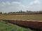 Bihta Plot View 2