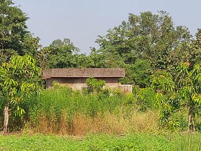 Residential Plot