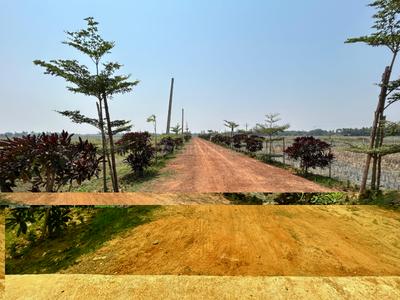 Image of 1600 Sq.ft Residential Plot / Land for sale in Phulnakhara, Cuttack for Rs. 2475000