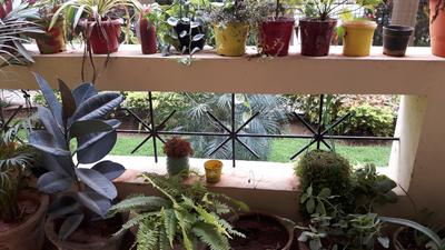Balcony Image of 1766 Sq.ft 3 BHK Apartment / Flat for sale in Corporate Suncity Apartments, Bellandur Bengaluru for Rs. 25200000