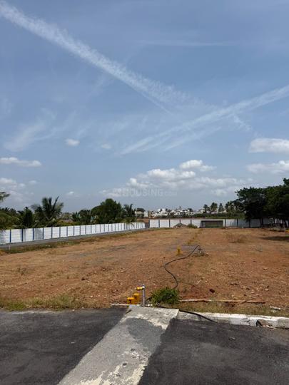 Karamadai Main Image 1