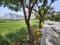 BPTP Amstoria Country Floor Main Image 1