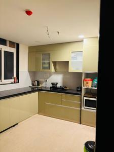 Kitchen Image of 1238 Sq.ft 3 BHK Apartment / Flat for rent in AB Prime Height, Karolan Ka Barh Jaipur for Rs. 25000