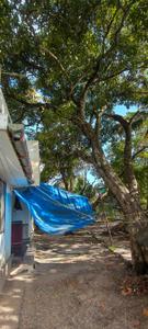 Image of 1000 Sq.ft 3 BHK Independent House for sale in Koonammavu, Kochi for Rs. 600000