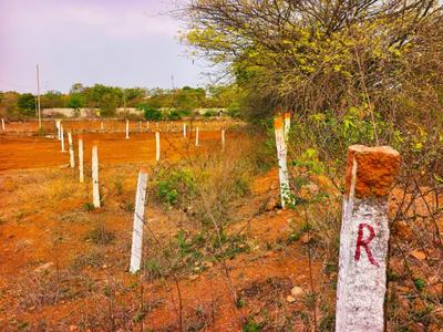 Residential Plot