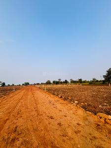 Image of 5000 Sq.ft Residential Plot / Land for sale in Sukhi Sewania, Bhopal for Rs. 1500000