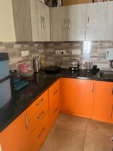 Kitchen Image of 607 Sq.ft 1 BHK Apartment / Flat for rent in Prestige Jindal City, Anchepalya Bengaluru for Rs. 30000