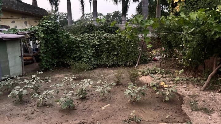 Cassia Fistula Estate, Chi IV Greater Noida Main Image 1