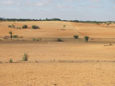 Image of 548778 Sq.ft Residential Plot / Land for sale in Visalpur, Ahmedabad for Rs. 270000000