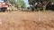Shirva Main Image 1