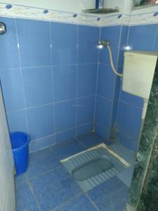 Common Bathroom Image of 310 Sq.ft 1 RK Apartment / Flat for rent in Jhala BK Jhala Nirmal Township, Hadapsar Pune for Rs. 10000