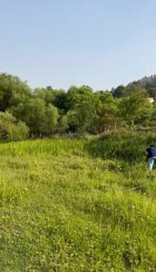 Image of 8910 Sq.ft Residential Plot / Land for sale in Naukuchitatal, Nainital for Rs. 19000000