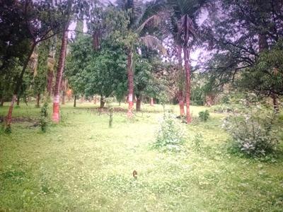 Image of 1089 Sq.ft Residential Plot / Land for sale in Mothijui, Navi Mumbai for Rs. 568000