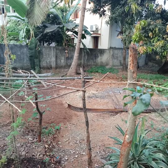 Mannivakkam Main Image 1