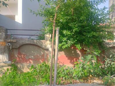 Pi I & II Plot View 1