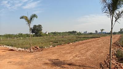Image of 8000 Sq.ft Residential Plot / Land for sale in Amleshwar, Raipur for Rs. 2800000