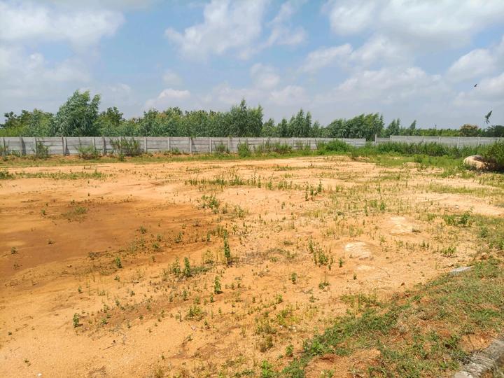 MS Developers Main Image 1