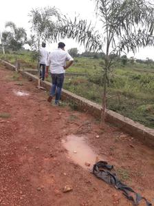 Image of 1200 Sq.ft Residential Plot / Land for sale in Patia, Bhubaneswar for Rs. 1999999