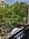 Balcony Image of Flatmate for 3bhk in Vijay Nagar, Indore