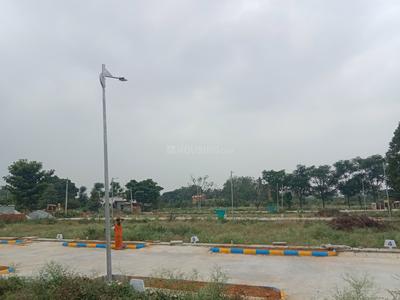 Malur Plot View 2