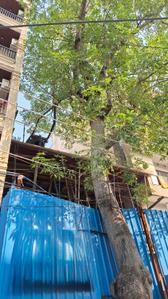 Image of 1350 Sq.ft 3 BHK Builder Floor for sale in Naraina, New Delhi for Rs. 32000000