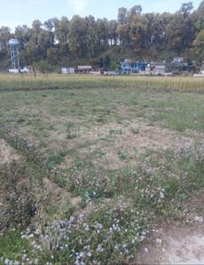 Dharmawala Plot View 3