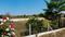 Ringanabodi Plot View 2