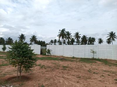 Residential Plot