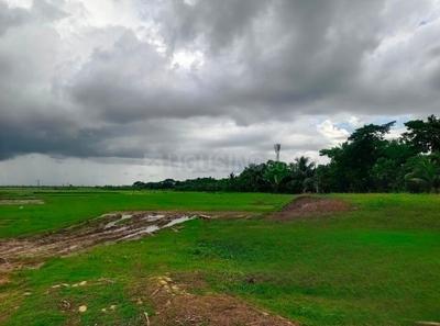 Chakpachuria Plot View 2