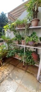 Balcony Image of 1050 Sq.ft 2 BHK Apartment / Flat for sale in Alcon Acacia, Kondhwa Pune for Rs. 8200000