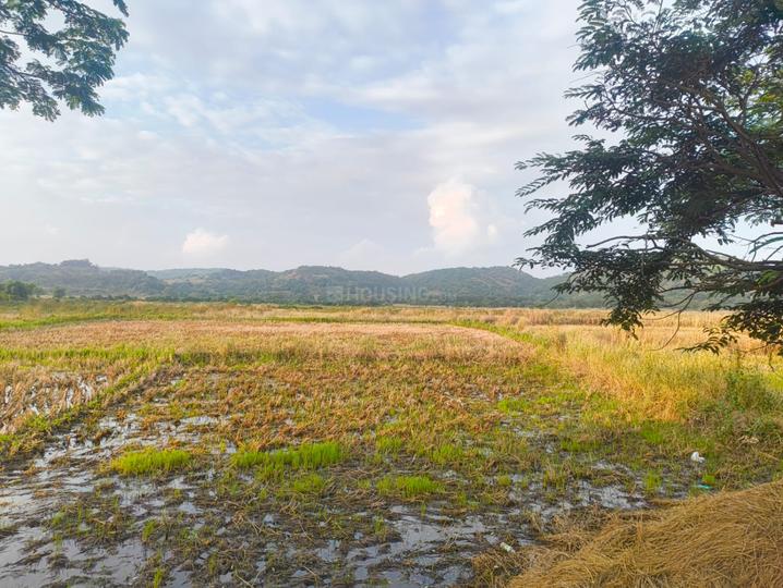 Towncity Plots In Vindhane Main Image 1