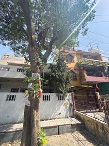 Image of 3900 Sq.ft 7 BHK Independent House for sale in Sector 11, Noida for Rs. 67500000