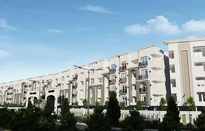 3 BHK Flat