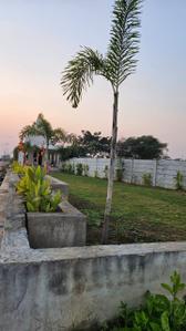 Image of 717 Sq.ft Residential Plot / Land for sale in Golden Residency, Boria Kal, Raipur for Rs. 1433287