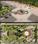 Dream home Gangotri  Main Image 1