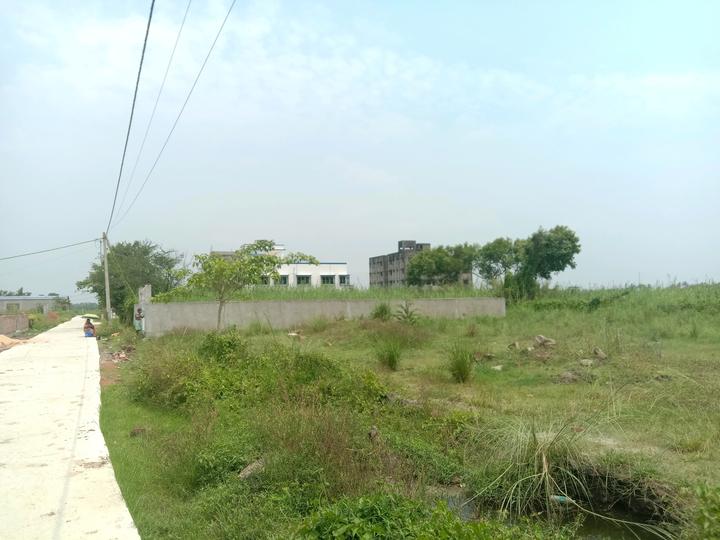 Apparent JB Garden Main Image 1