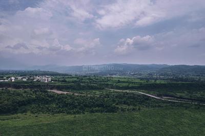 DLF The Valley Plot View 3