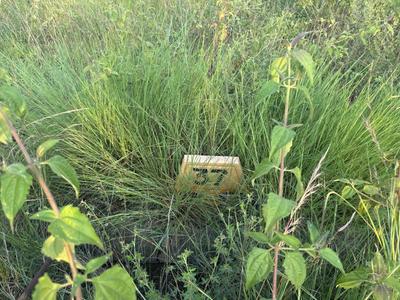 Image of 1200 Sq.ft Residential Plot / Land for sale in Sheikhmanpura, Kolar for Rs. 2998700